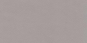 D21 - Светло серая